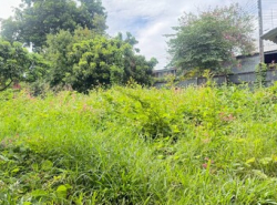 รถมือสอง อสังหาริมทรัพย์ ที่ดิน ปี 0 