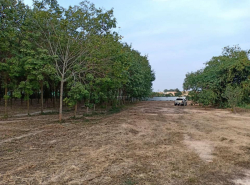 รถมือสอง อสังหาริมทรัพย์ ที่ดิน ปี 0 