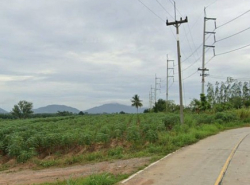ขายที่ดิน หนองใหญ่ ชลบุรี 42-2-78  ไร่ ผังสีม่วงลาย ต.หนองเสือช้าง อ.หนองใหญ่ จ.ชลบุรี
