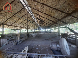 รถมือสอง อสังหาริมทรัพย์ สำนักงาน,โรงงาน ปี 0 