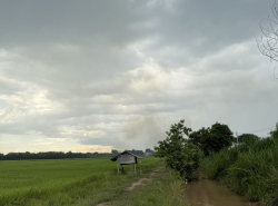 รถมือสอง อสังหาริมทรัพย์ ที่ดิน ปี 0 