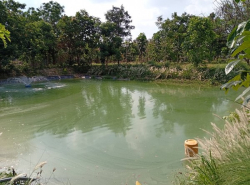 รถมือสอง อสังหาริมทรัพย์ ที่ดิน ปี 0 