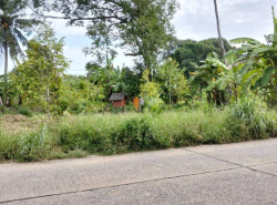 อสังหาริมทรัพย์ - ที่ดิน