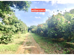 รถมือสอง อสังหาริมทรัพย์ ที่ดิน ปี 0 