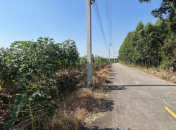 รถมือสอง อสังหาริมทรัพย์ ที่ดิน ปี 0 