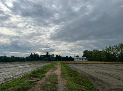 ขายที่ดิน เจ้าของขายเอง 400 ตารางวา ต.ชมภู อ.สารภี จ.เชียงใหม่