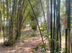 รถมือสอง อสังหาริมทรัพย์ ที่ดิน ปี 0 