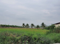 รถมือสอง อสังหาริมทรัพย์ ที่ดิน ปี 0 