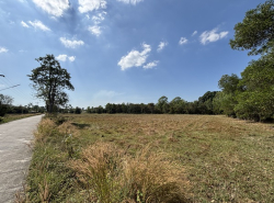 อสังหาริมทรัพย์ - ที่ดิน