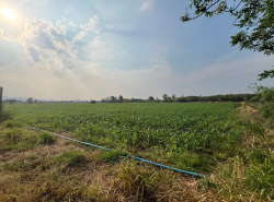 รถมือสอง อสังหาริมทรัพย์ ที่ดิน ปี 0 