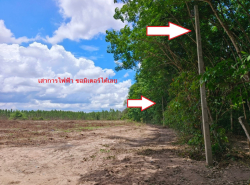 รถมือสอง อสังหาริมทรัพย์ ที่ดิน ปี 0 