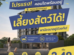 PYNN Kaset by Sansiri พินน์ เกษตร - คอนโด Pet-Friendly ใกล้ ม.เกษตร 