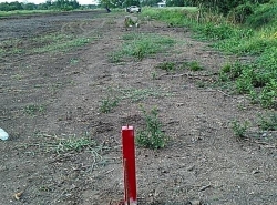 รถมือสอง อสังหาริมทรัพย์ ที่ดิน ปี 0 