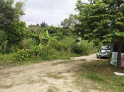 รถมือสอง อสังหาริมทรัพย์ ที่ดิน ปี 0 