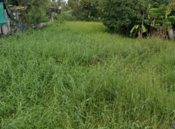 รถมือสอง อสังหาริมทรัพย์ ที่ดิน ปี 0 
