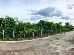 รถมือสอง อสังหาริมทรัพย์ ที่ดิน ปี 0 