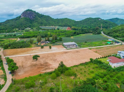 รถมือสอง อสังหาริมทรัพย์ ที่ดิน ปี 0 