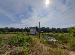 รถมือสอง อสังหาริมทรัพย์ ที่ดิน ปี 0 