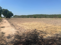 รถมือสอง อสังหาริมทรัพย์ ที่ดิน ปี 0 