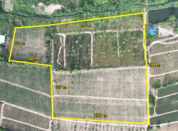 ขายที่ดินปลวกแดง ห้วยปราบ-มาบยางพรสีม่วงลาย 42 ไร่ ใกล้นิคมWHA-10กม. ใกล้โรบินสันบ่อวิน-7กม. จ.ระยอง