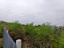 รถมือสอง อสังหาริมทรัพย์ ที่ดิน ปี 0 