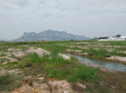 รถมือสอง อสังหาริมทรัพย์ ที่ดิน ปี 0 