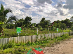 รถมือสอง อสังหาริมทรัพย์ ที่ดิน ปี 0 
