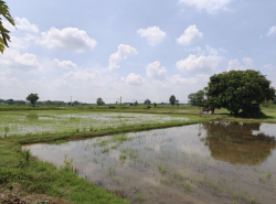 รถมือสอง อสังหาริมทรัพย์ ที่ดิน ปี 0 