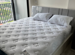 ให้เช่า คอนโด M593 Niche MONO Mega Space Bangna 35 ตรม
