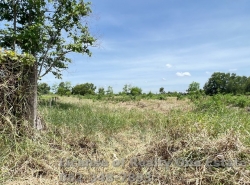 รถมือสอง อสังหาริมทรัพย์ ที่ดิน ปี 0 