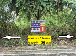 ขายที่ดินแปลงจัดสรรใกล้พหลโยธิน สายไหม ซอยตาลเดี่ยวซอย 1 ตรงขาย 185 วา