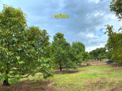 รถมือสอง อสังหาริมทรัพย์ ที่ดิน ปี 0 