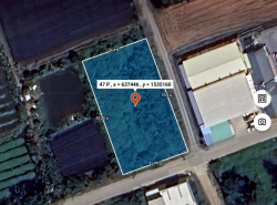รถมือสอง อสังหาริมทรัพย์ ที่ดิน ปี 0 