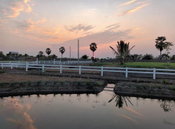 ขายด่วน บ้านสวน บนพื้นที่ 2 ไร่  บ้านสวนเกษตร สไตล์วิศวะ เฟส 2 ต.บางลูกเสือ อ.องครักษ์ จ.นครนายก