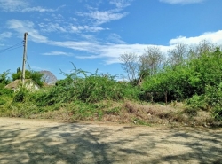 รถมือสอง อสังหาริมทรัพย์ ที่ดิน ปี 0 