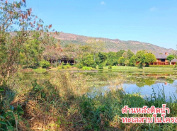 ขาที่ดินเปล่า ทำเลสุดฮิตใจกลางเขาใหญ่ ที่ดิน 1 ไร่เศษ โครงการ Moon Dance Khao Yai Residence ถนนธนะรัชต์ นครราชสีมา