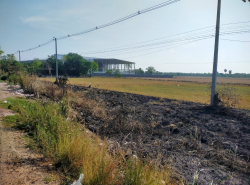 รถมือสอง อสังหาริมทรัพย์ ที่ดิน ปี 0 