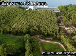  ที่ดินเมืองระยอง 4 ไร่ 59.7ตร.ว. อ่างเก็บน้ำ อีสท์วอเตอร์ ถนนบายพาส 36 ขนาด 4ไร่ 3งาน 26 ตร.ว. ฝั่งเข้าเมือง