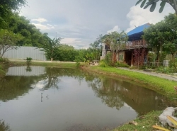 ลดราคาขาย ที่ดินพร้อมสิ่งปลูกสร้าง ขี้เหล็ก แม่ริม 