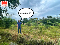 ที่ดิน (สวนผสม) ซอย หมู่บ้านศิรินคร ใกล้ปั๊มน้ำมันบางจาก ห่างจาก สี่แยกเบญจมฯ แค่ 6 กิโลเมตร
