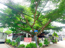 รถมือสอง อสังหาริมทรัพย์ ทาวน์เฮาส์ทาวน์โฮม ปี 0 
