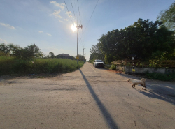 รถมือสอง อสังหาริมทรัพย์ ที่ดิน ปี 0 