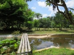 รถมือสอง อสังหาริมทรัพย์ บ้าน ปี 0 