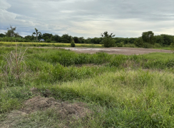รถมือสอง อสังหาริมทรัพย์ ที่ดิน ปี 0 