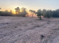 รถมือสอง อสังหาริมทรัพย์ ที่ดิน ปี 0 