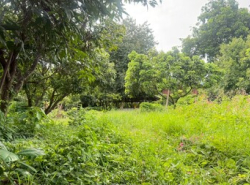 รถมือสอง อสังหาริมทรัพย์ ที่ดิน ปี 0 