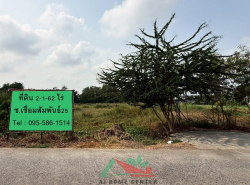 รถมือสอง อสังหาริมทรัพย์ ที่ดิน ปี 0 