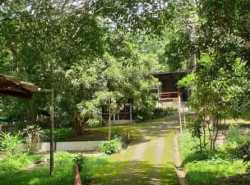 รถมือสอง อสังหาริมทรัพย์ ที่ดิน ปี 0 