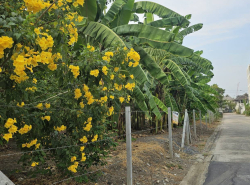รถมือสอง อสังหาริมทรัพย์ ที่ดิน ปี 0 