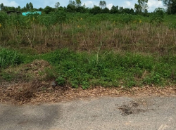 รถมือสอง อสังหาริมทรัพย์ ที่ดิน ปี 0 